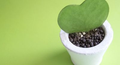 日本精神神経学会専門医・指導医の医師による診療